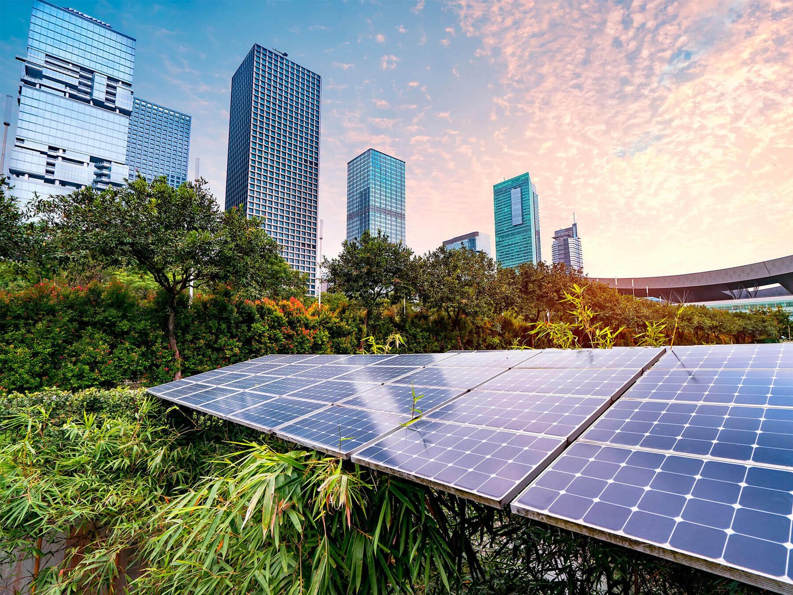 Commercial Project Installed by RAYZON Solar