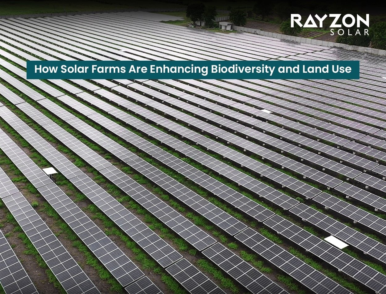 How Solar Farms Are Enhancing Biodiversity and Land Use